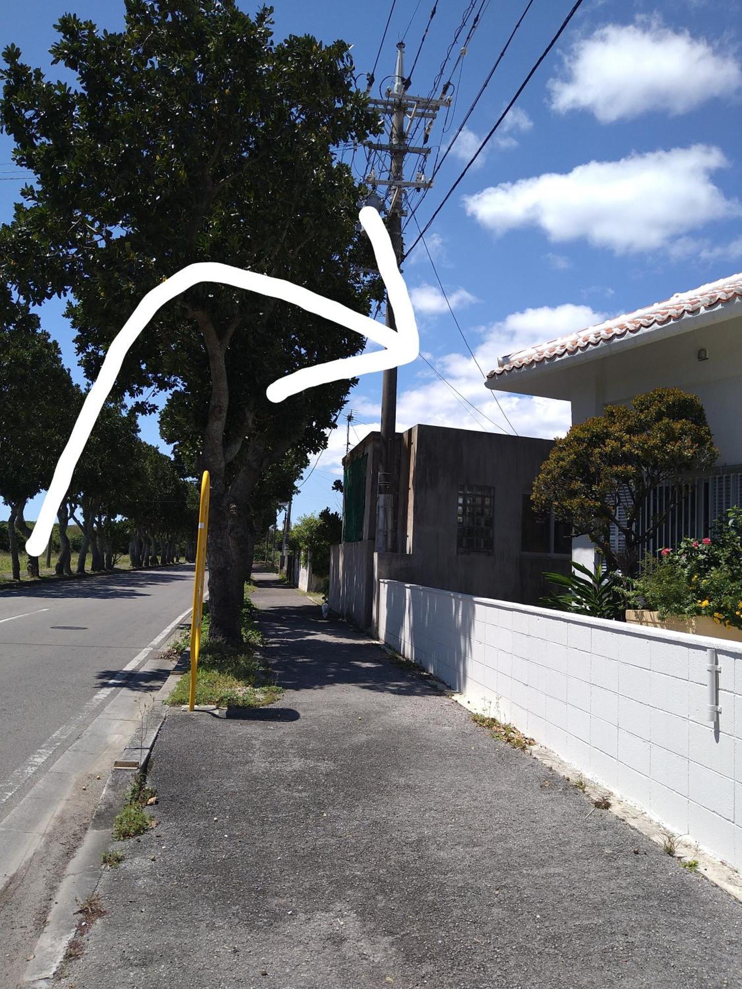 Minshuku Zabaru Hostel Ishigaki  Exterior photo